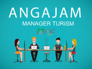 Angajarea in funcția de Manager in turism