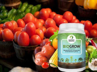 Biogrow plus – биоактиватор роста рассады и растений