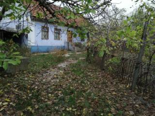 Продам дом в селе Ташлык Григориопольского района.
