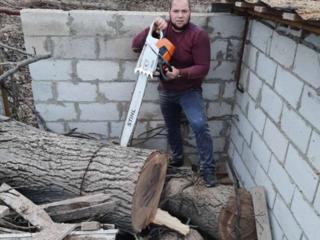 Taierea -curatarea copacilor, Masina Autoturn, Lucram in toata Moldova