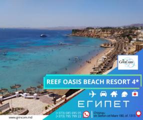 ГОРЯЩИЕ туры в ЕГИПЕТ! Курорт: шарм-эль-шейх / отель - reef oasis 4*