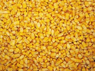 Продается кукуруза
