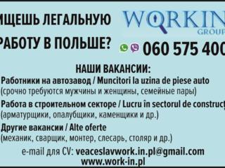 Ищешь легальную работу в Польше?