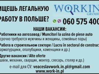 Ищешь легальную работу в Польше?