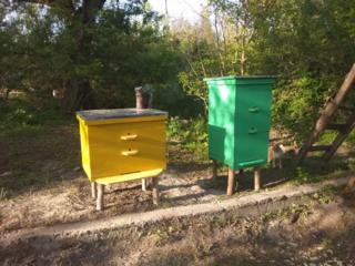 Улики для пчёл+ рамки