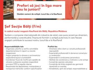 Sef sectie, BALTI. KAUFLANDrecrutare@kaufland.md