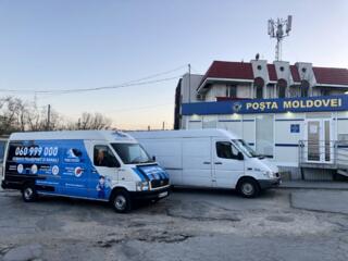 Transport de marfuri si Hamali