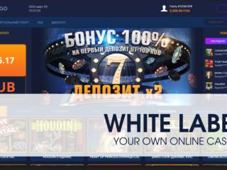 ПО для Спорт Бара Платформа White Label – софт для онлайн казино