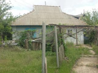 Продам дом в селе Спея