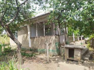 Продается дом в селе Кишкарень