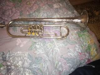Продам музыкальную трубу 250 рублей