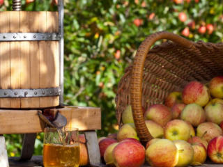 Куплю яблоки на сок cumpar mere la suc для семьи