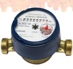 B METERS GSD8-I R100 1/2 лічильник холодної води 110мм
