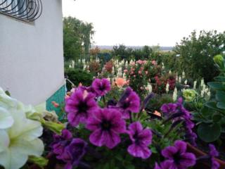 Продается усадьбочка на берегу лимана