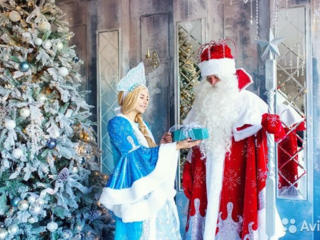 Дед Мороз и Снегурочка для детей на дом