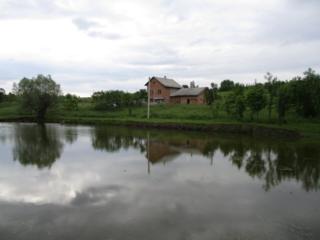 Servicii profesionale imobiliare. Consultații. Calitate și experiență.