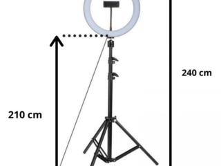 Кольцевая лампа 30 см / Lampa inelara 30 cm