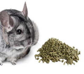 Витаминизированный корм для домашних грызунов