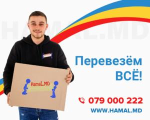Hamali Chisinau - Mutari oficii si apartamente 