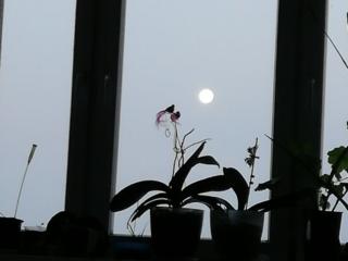 Продам 2-х комнатную квартиру на Гвардейской 4 этаж. Собственник.