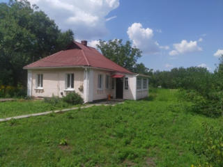 СНИМУ квартиру или дом до 30 км от Кишинёва