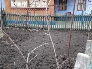 В селе Кохановка Одесская область Ананьевский район продаётся дом