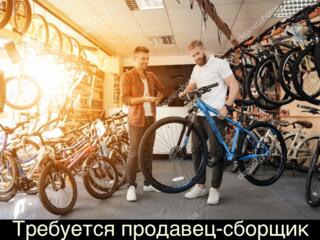 В веломагазин требуется сборщик велосипедов