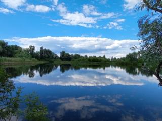 Осещина, БЕРЕГ ОЗЕРА, шикарное место для КОТТЕДЖНОГО ГОРОДКА.