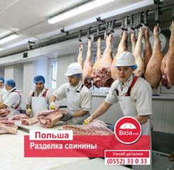Завод по переработке говядины и свинины. Польша- ŁUKÓW.