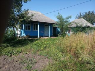 Продам дом на земле в селе Стурзовка