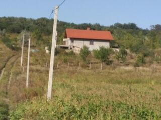 3 гектара вблизи Кишинева с электричеством, газом, а вода на участке,