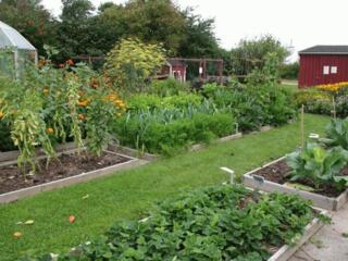 Присмотрю за приусадебным участком