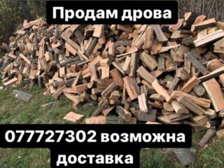 Продам колотые дрова разных пород + возможна доставка. Приднестровье