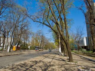 Продам отдельно стоящее здание Французский Бульвар