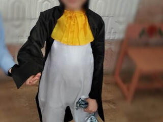 Продажа (прокат) костюмов: гусар, кошечка, пингвин, снежный, жук.
