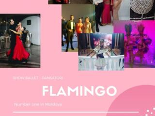 Flamingo - scoala de dans Chisinau.
