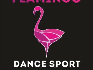 Flamingo - scoala de dans Chisinau.