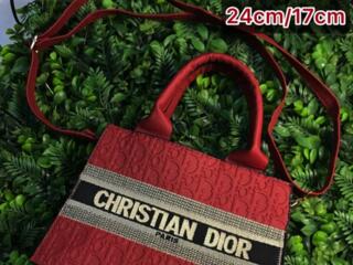 Christian Dior geanta