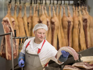 Работа на заводе - переработка, упаковка свиного мяса. 900 евро.