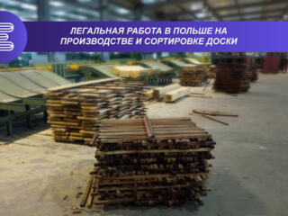 Легальная работа в Польше на производстве и сортировке древесины
