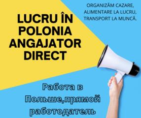 Lucru în Polonia angajator direct