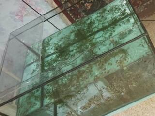 Продам аквариум 75×55 высота 45 см диаметр стекла 9 см
