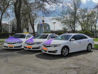 ТОЙОТА CAMRY 2014 года, от 1 до 5 машин, для торжества, НЕДОРОГО!!!