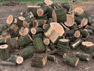 Куплю дрова в большом количестве до 1000 складометров
