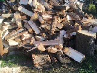 Продам дрова твердых пород. 600 куб. Количество ограничено.