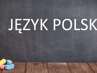 Польский онлайн/оффлайн - 250 лей/час(60 минут),
