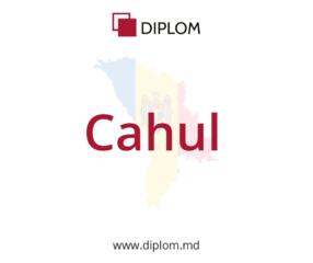 Biroul de traduceri DIPLOM în Cahul, Prospectul Republicii, 20/1.