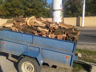 Продам дрова колотые цена договорная