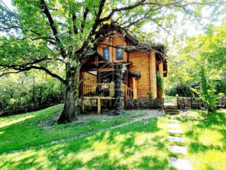 Se vinde vilă superbă din lemn în pădure,Ialoveni, pe 1 ha teren! ...