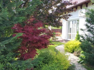 Ландшафтный дизайн. Благоустройство территорий. Посадка растений.